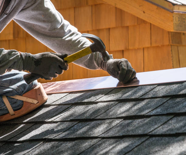 Best Local Roofing Companies  in Trion, GA